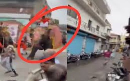 ରଥଯାତ୍ରାରେ ଦଳାଚକଟା କଲେ ହାତୀ