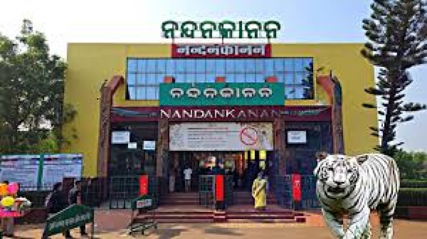 ନନ୍ଦନକାନନରେ ୭ ହଳଦିଆ ଆନାକୋଣ୍ଡା ଜନ୍ମ