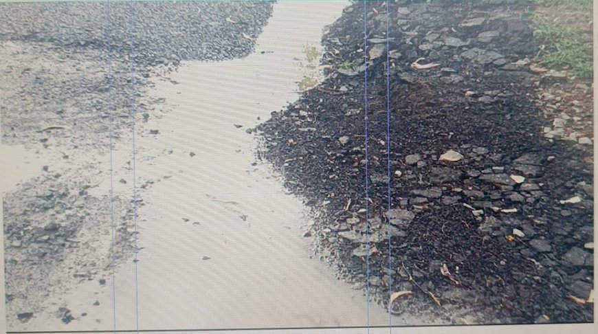 ବର୍ଷାରେ ଚାଲିଛି ପିଚୁ କାର୍ଯ୍ୟ