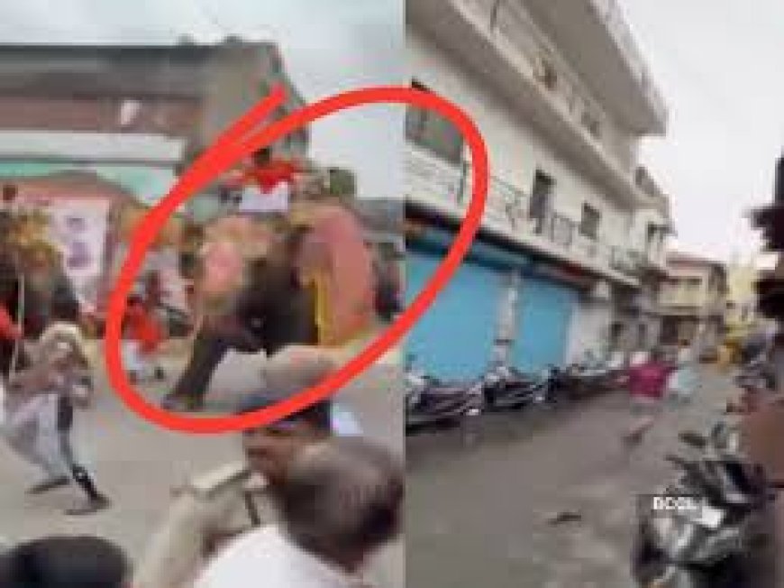 ରଥଯାତ୍ରାରେ ଦଳାଚକଟା କଲେ ହାତୀ