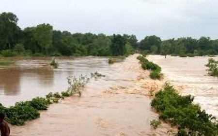 ୩୦ ଗ୍ରାମ ପଞ୍ଚାୟତରେ ପଶିଲା ବନ୍ୟା ଜଳ