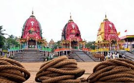 କାଳିଆ ସାଆନ୍ତ  ଆସୁଛନ୍ତି ପହଣ୍ଡିରେ