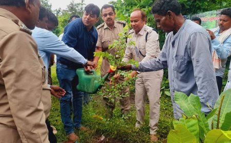 ପର୍ଯ୍ୟଟନସ୍ଥଳୀ ଡୋକରୀ ଚଞ୍ଚରାରେ ବୃକ୍ଷରୋପଣ