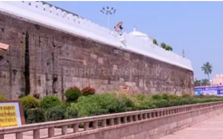 ମେଘନାଦ ପାଚେରୀ ଡେଇଁଲେ ୪ ଯୁବକ