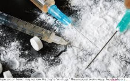 ମିଳିଲା ୨୫ ଲକ୍ଷର ବ୍ରାଉନସୁଗାର