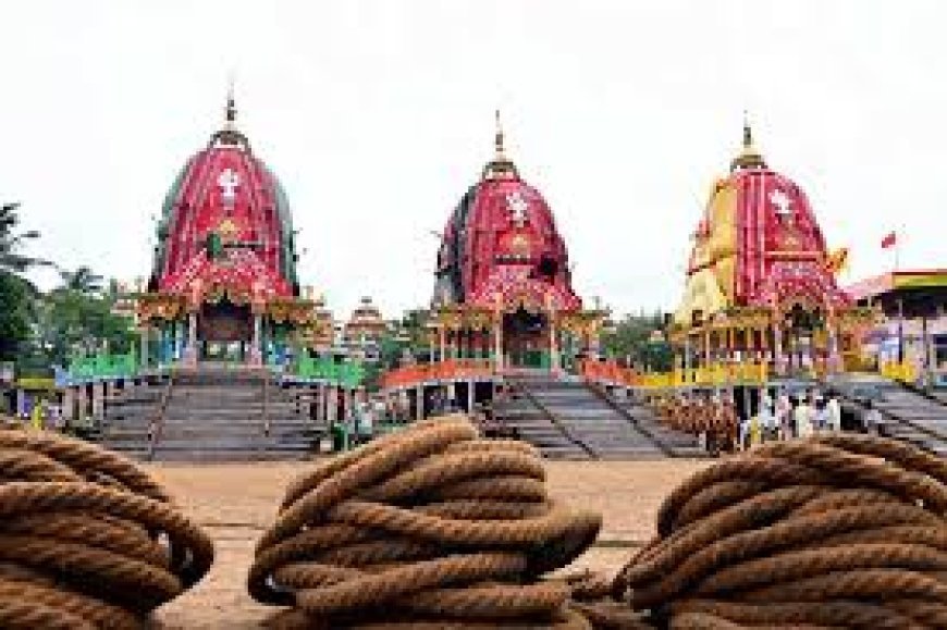 କାଳିଆ ସାଆନ୍ତ  ଆସୁଛନ୍ତି ପହଣ୍ଡିରେ