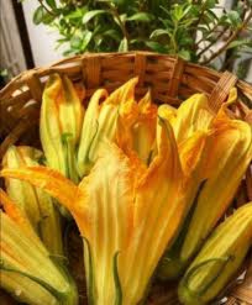 କଖାରୁ ଫୁଲ  ବଢ଼ାଏ ରୋଗ ପ୍ରତିରୋଧକ ଶକ୍ତି