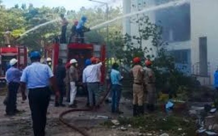 ଦିଗପହଣ୍ଡିରେ ପହଁଞ୍ଚିଲା ୬ଓଡିଆ ଶ୍ରମିକଙ୍କ ମୃତଦେହ