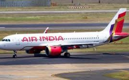 ଏୟାର ଇଣ୍ଡିଆ ବିମାନରୁ ବାହାରିଲା ଅସରପା