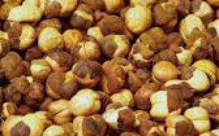 ଭଜା ଚଣା ଶରୀର ପାଇଁ ଉପକାରୀ!