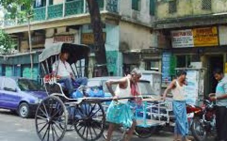 ୬ ମାସ ଭିତରେ ରିକ୍ସା ଟଣା ବନ୍ଦ : ସୁପ୍ରିମ କୋର୍ଟ