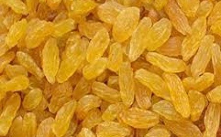 ସକାଳେ ଖାଲିପେଟରେ ଖାଆନ୍ତୁ କିସ୍‌ମିସ୍‌