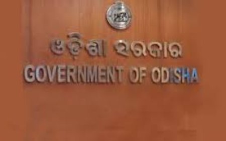 ଓଏଏସ୍‌ ଅଧିକାରୀସ୍ତରରେ ବ୍ୟାପକ ଅଦଳବଦଳ