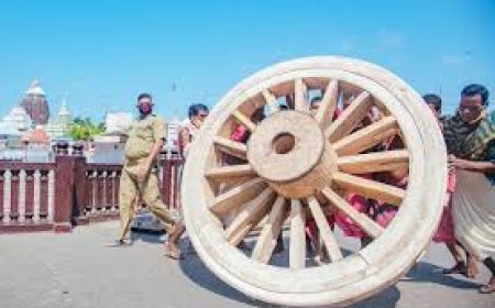 ସଂସଦରେ ଶୋଭା ପାଇବ  ରଥ ଚକ