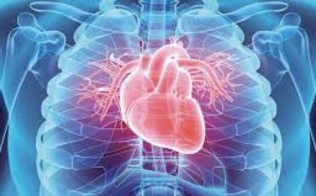 ହାର୍ଟ ସୁସ୍ଥ ରଖିବାକୁ ଚାହୁଁଥିଲେ.....!