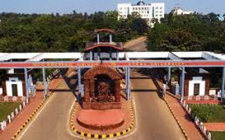 ଆଜିଠୁ ଅଣଛାତ୍ରଙ୍କ ଉପରେ ଦୃଢ଼ କାର୍ଯ୍ୟାନୁଷ୍ଠାନ