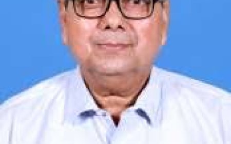 ନୂଆପଡା ବିଧାୟକ ଢୋଲକିଆଙ୍କ ପରଲୋକ