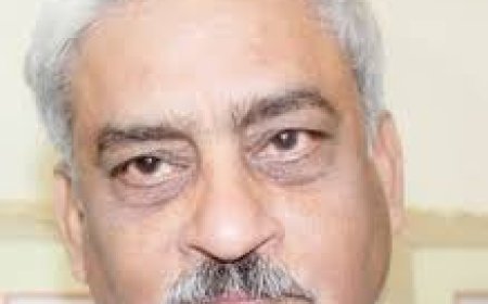 ବିଜେଡିକୁ ବାଏ ବାଏ କଲେ ଏନ୍.ଭାସ୍କର ରାଓ