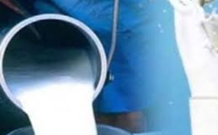 ଚାଲିଥିଲା କ୍ଷୀର ଅପମିଶ୍ରଣ : ମାଡ଼ି ବସିଲା ପୋଲିସ