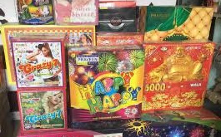 ପୂରା ଦେଶରେ ବାଣ ବ୍ୟାନ୍ ହେଉ : ସୁପ୍ରିମକୋର୍ଟ