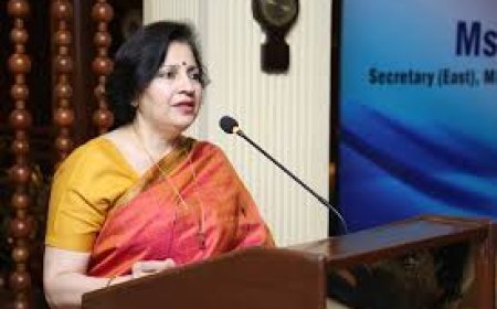 ପ୍ରୀତି ସରନ୍‌ ଜାତିସଂଘ ସିଇଏସ୍‌ସିଆର୍‌ ଅଧ୍ୟକ୍ଷ