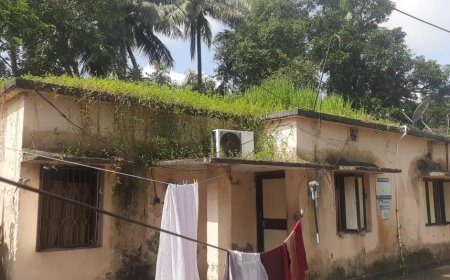 ଅନାବନା ଗଛଲତାରେ ଭର୍ତ୍ତି ସରକାରୀ ବାସଗୃହ 