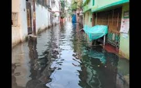 ନର୍ଦ୍ଦମା ପାଣିରେ ଉବୁଟୁବୁ ଖଲେଶ୍ୱର ନଗର