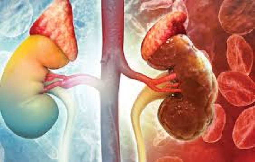 ଡାଇବେଟିସ୍‌ ଥିଲେ ଦେଖାଦିଏ କିଡ୍‌ନୀ ଫେଲର  ଲକ୍ଷଣ