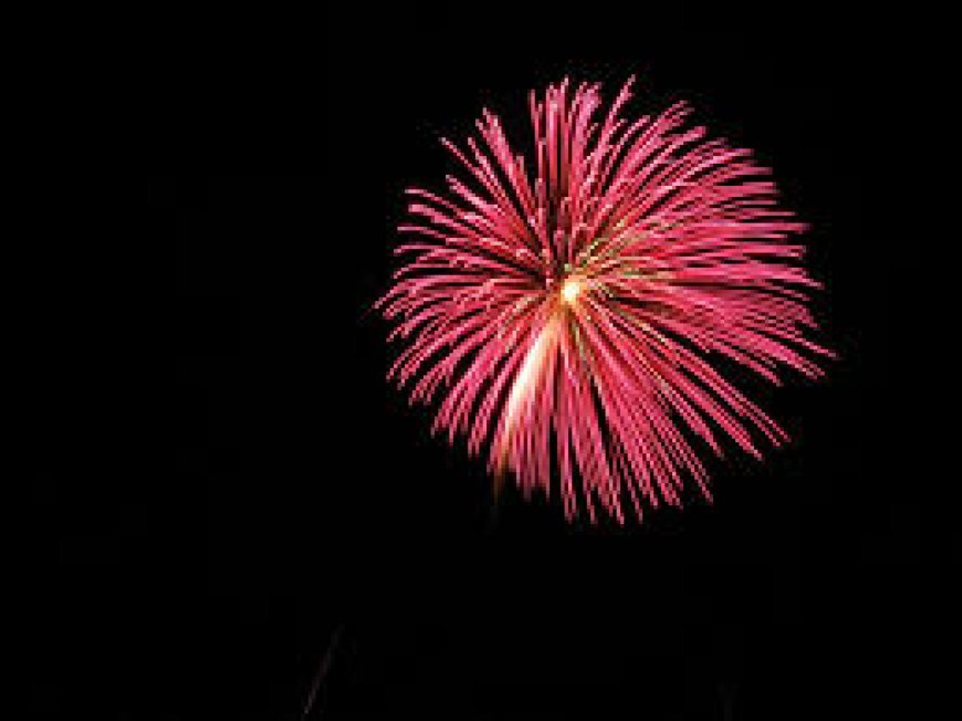 ଦେଶରେ ବାଣଫୁଟା ନିଷିଦ୍ଧ କରାଯାଉ : ସୁପ୍ରିମକୋର୍ଟ