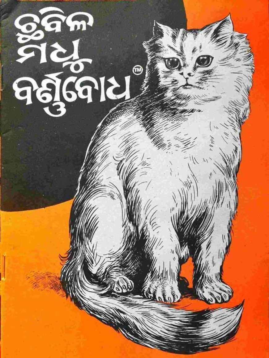 ବର୍ଣ୍ଣବୋଧ ଶିକ୍ଷାର ପ୍ରସାର ପାଇଁ ପ୍ରୟାସ