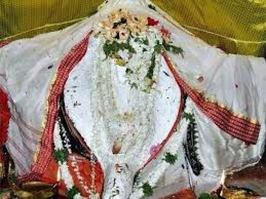 ସମଲେଶ୍ଵରୀଙ୍କ ଧବଳମୁଖୀ ବେଶ ଦର୍ଶନ