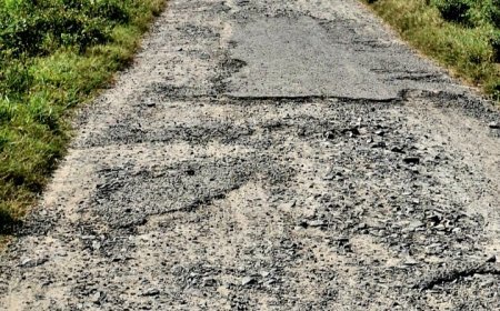 ଗୋପପୁର ପ୍ରଧାନମନ୍ତ୍ରୀ ରାସ୍ତା ଅବସ୍ଥା ଶୋଚନୀୟ : ମରାମତି ଦାବି 