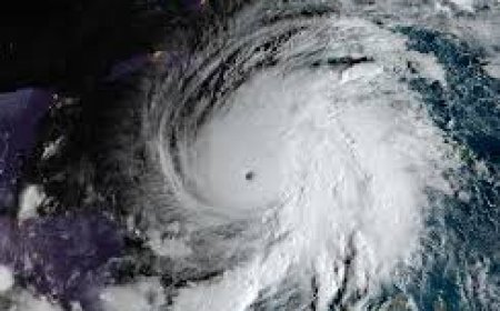 ହାଇତିରେ ‘ମେଲିସା’ର ତାଣ୍ଡବ, ୨୫ ମୃତ