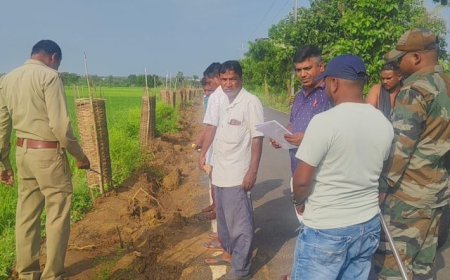 ବାଘ ଆତଙ୍କ : ପାଦ ଚିହ୍ନ ଦେଖି ଲୋକେ ଛାନିଆ