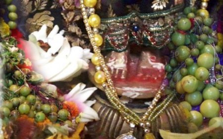 ଭକ୍ତଙ୍କ ରାଧାପାଦ ଦର୍ଶନ