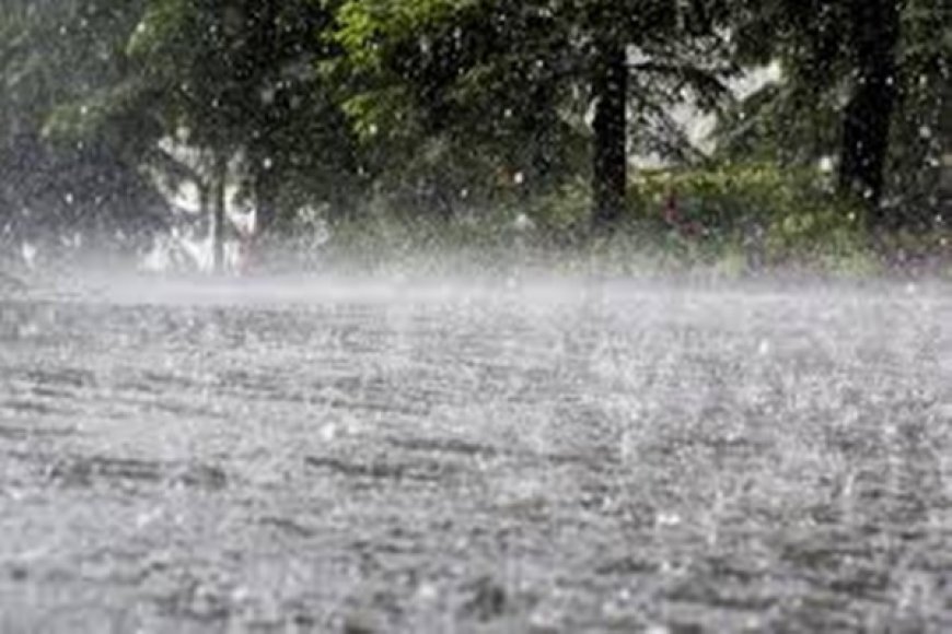 ଜୁନରୁ - ସେପ୍ଟେମ୍ବର ୧୧୫୧ ମିମି ବର୍ଷା