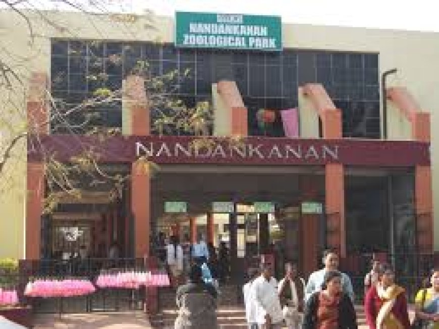 ଜୀବଜନ୍ତୁଙ୍କ ଯତ୍ନ ନେଉନାହାଁନ୍ତି ନନ୍ଦନକାନନ କର୍ତ୍ତୃପକ୍ଷ