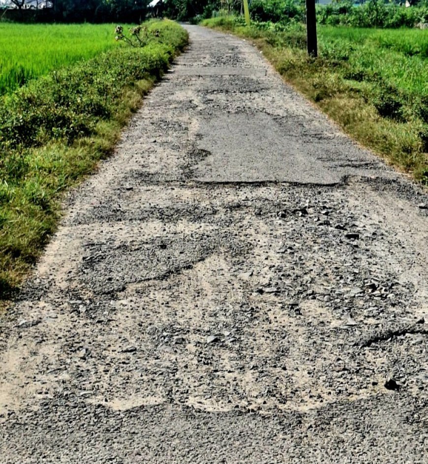 ଗୋପପୁର ପ୍ରଧାନମନ୍ତ୍ରୀ ରାସ୍ତା ଅବସ୍ଥା ଶୋଚନୀୟ : ମରାମତି ଦାବି