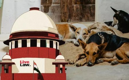 ବୁଲା କୁକୁର ମାମଲାରେ ସୁପ୍ରିମ୍‌କୋର୍ଟ କ୍ଷୁବ୍ଧ 