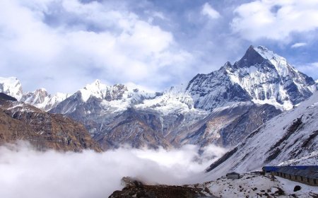 ଘରକୁ ସଫଳତା ଆଣିଥାଏ ଏହି ୫ ଫଟୋ