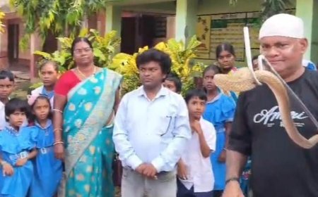 ବିଦ୍ୟାଳୟରୁ ନାଗସାପ ଉଦ୍ଧାର