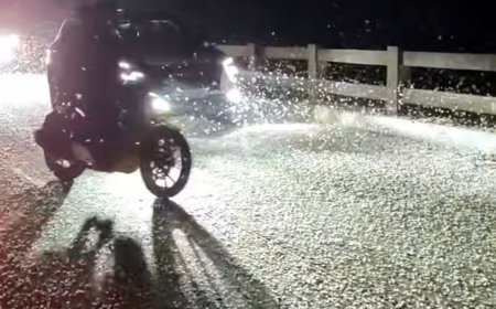 ଖରସ୍ରୋତା ପୋଲ ଉପରେ ପୋକ ଆତଙ୍କ : ଯାତାୟାତ ବାଧାପ୍ରାପ୍ତ