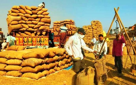 ୨୦ ତାରିଖରୁ ଆରମ୍ଭ ହେବ ଖରିଫ ଧାନ କିଣା