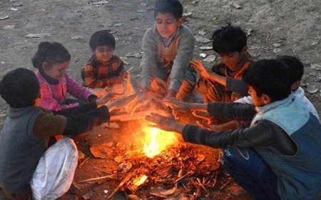 ଶୀତରେ ଥରିଲାଣି ଓଡ଼ିଶା