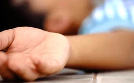 ଚିପ୍ସ ପ୍ୟାକେଟରୁ ବାହାରିଥିବା ପ୍ଲାଷ୍ଟିକ ଖେଳନା ଖାଇ ୪ ବର୍ଷର ଶିଶୁ ମୃତ 