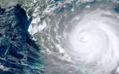 ରାଜ୍ୟରେ ୭ ଦିନ ପାଗ ଶୁଖିଲା ରହିବ : ମନୋରମା 