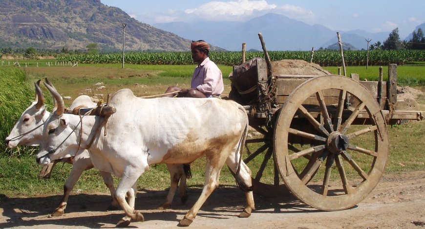 ପୁରୁଣା ଶଗଡ଼ଗୁଳାର କରାମତି 