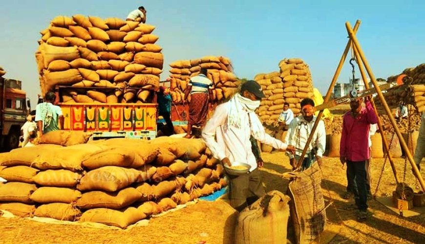 ୨୦ ତାରିଖରୁ ଆରମ୍ଭ ହେବ ଖରିଫ ଧାନ କିଣା