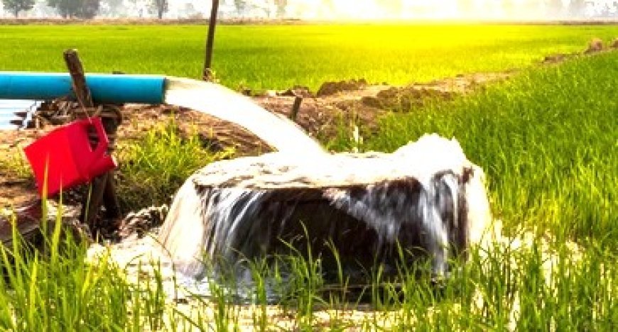 ୨୦୨୯ ସୁଦ୍ଧା ୧୫ ଲକ୍ଷ ହେକ୍ଟର ଜମିକୁ ଜଳସେଚନ