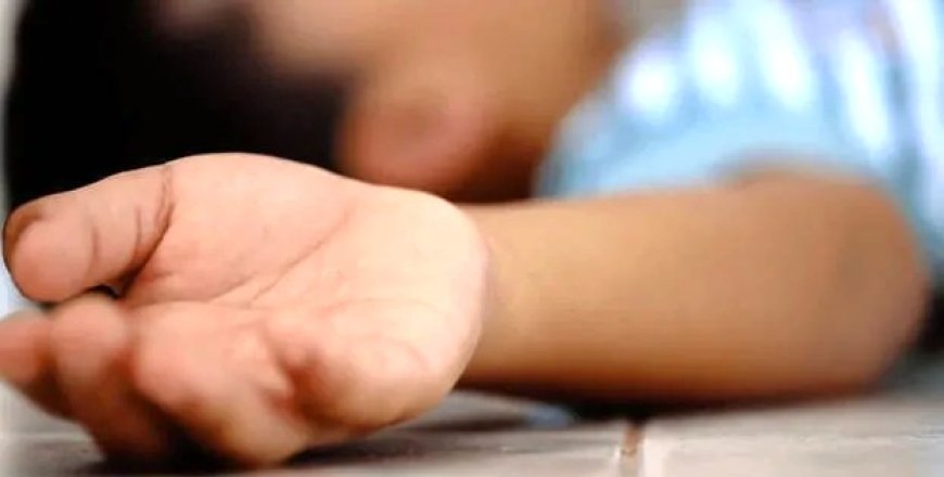 ଚିପ୍ସ ପ୍ୟାକେଟରୁ ବାହାରିଥିବା ପ୍ଲାଷ୍ଟିକ ଖେଳନା ଖାଇ ୪ ବର୍ଷର ଶିଶୁ ମୃତ 